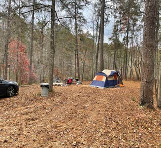 Camper-submitted photo from Horse Pens 40