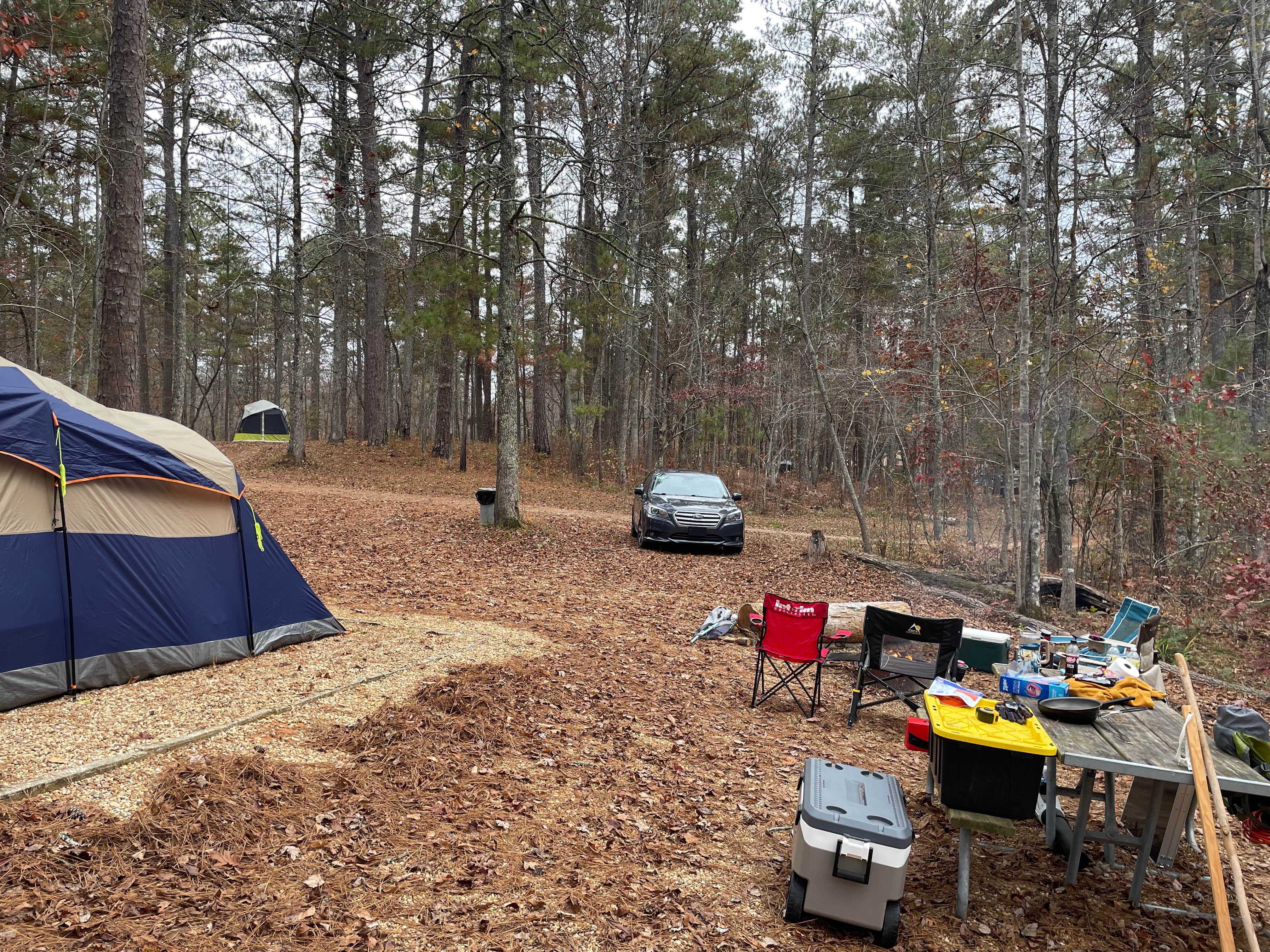 Camper-submitted photo at Coleman Lake Rec Area near Jacksonville, AL