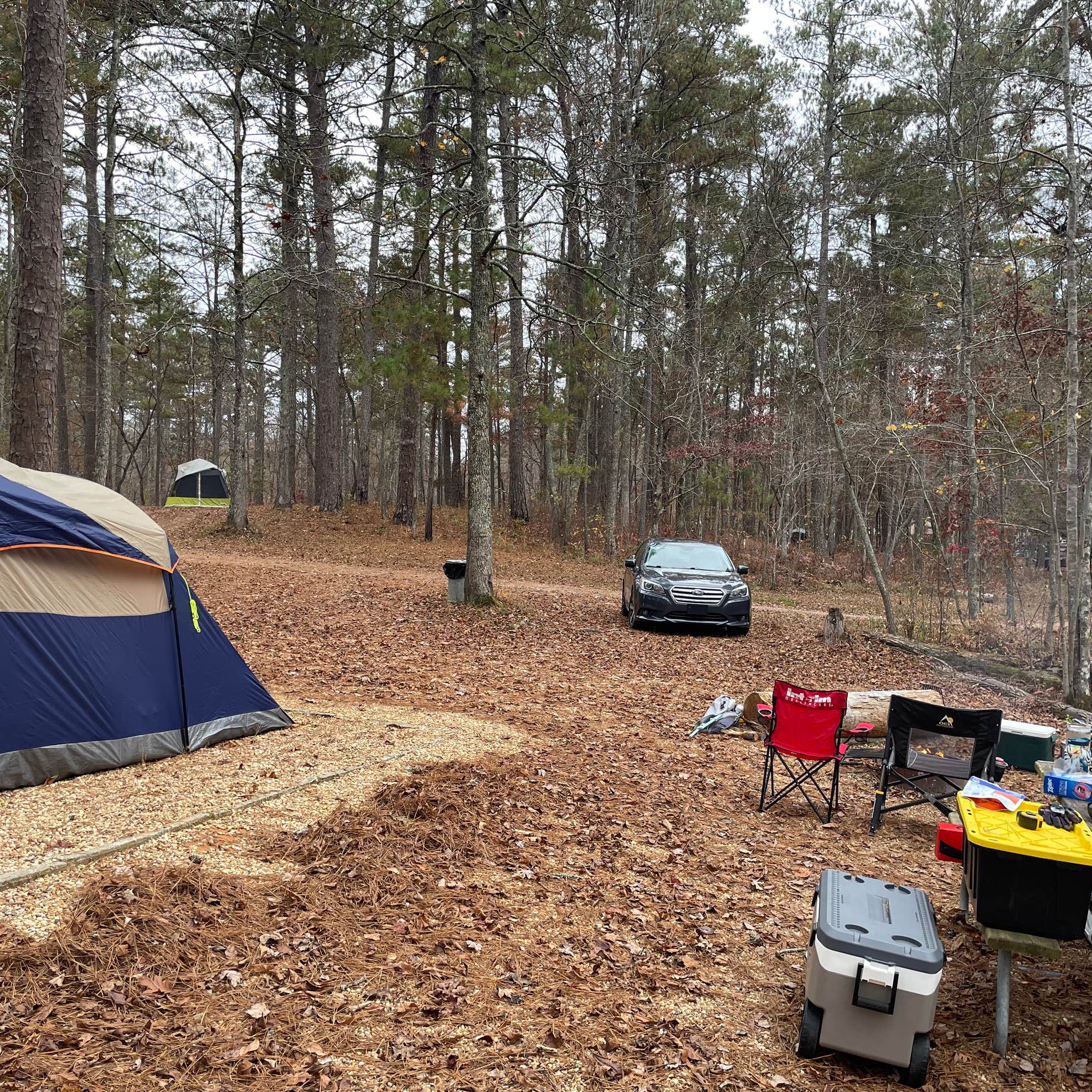 Coleman Lake Rec Area Camping The Dyrt