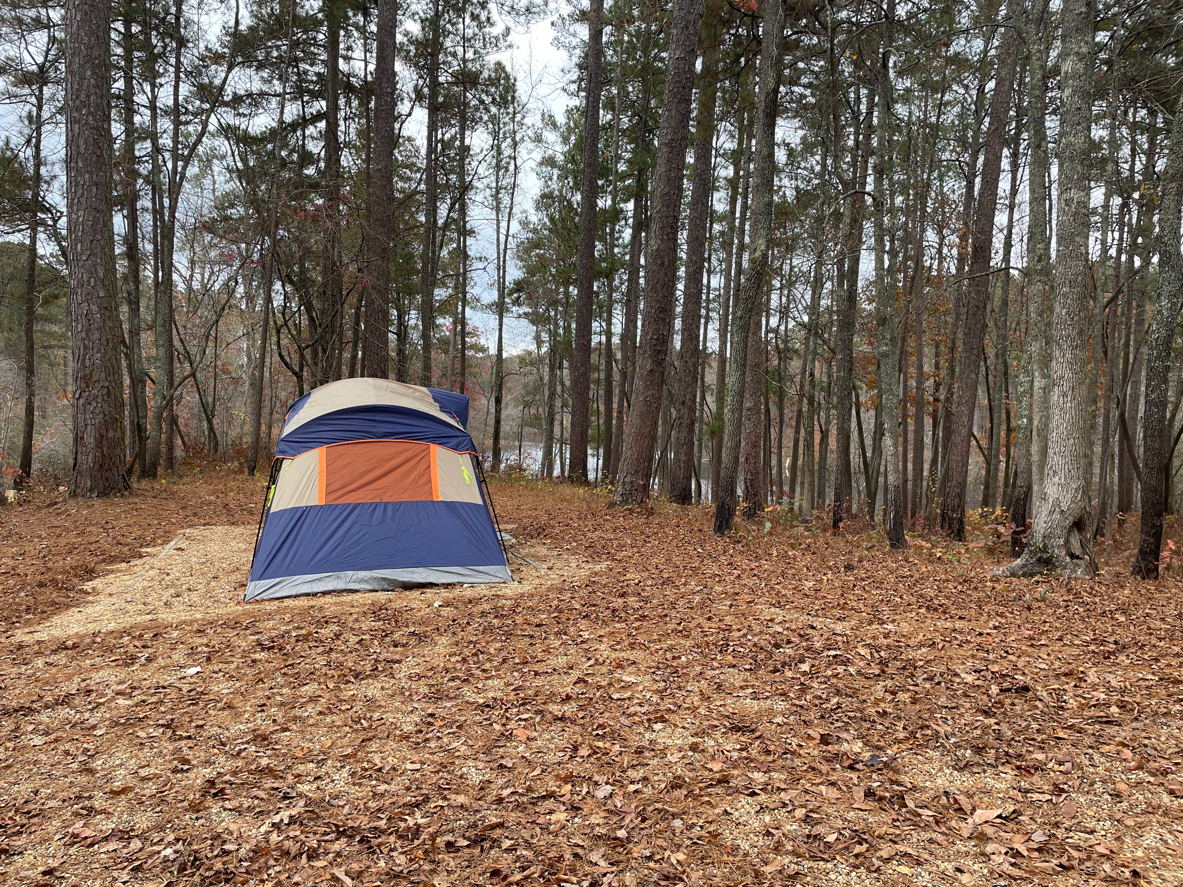 Camper submitted image from Coleman Lake Rec Area - 5