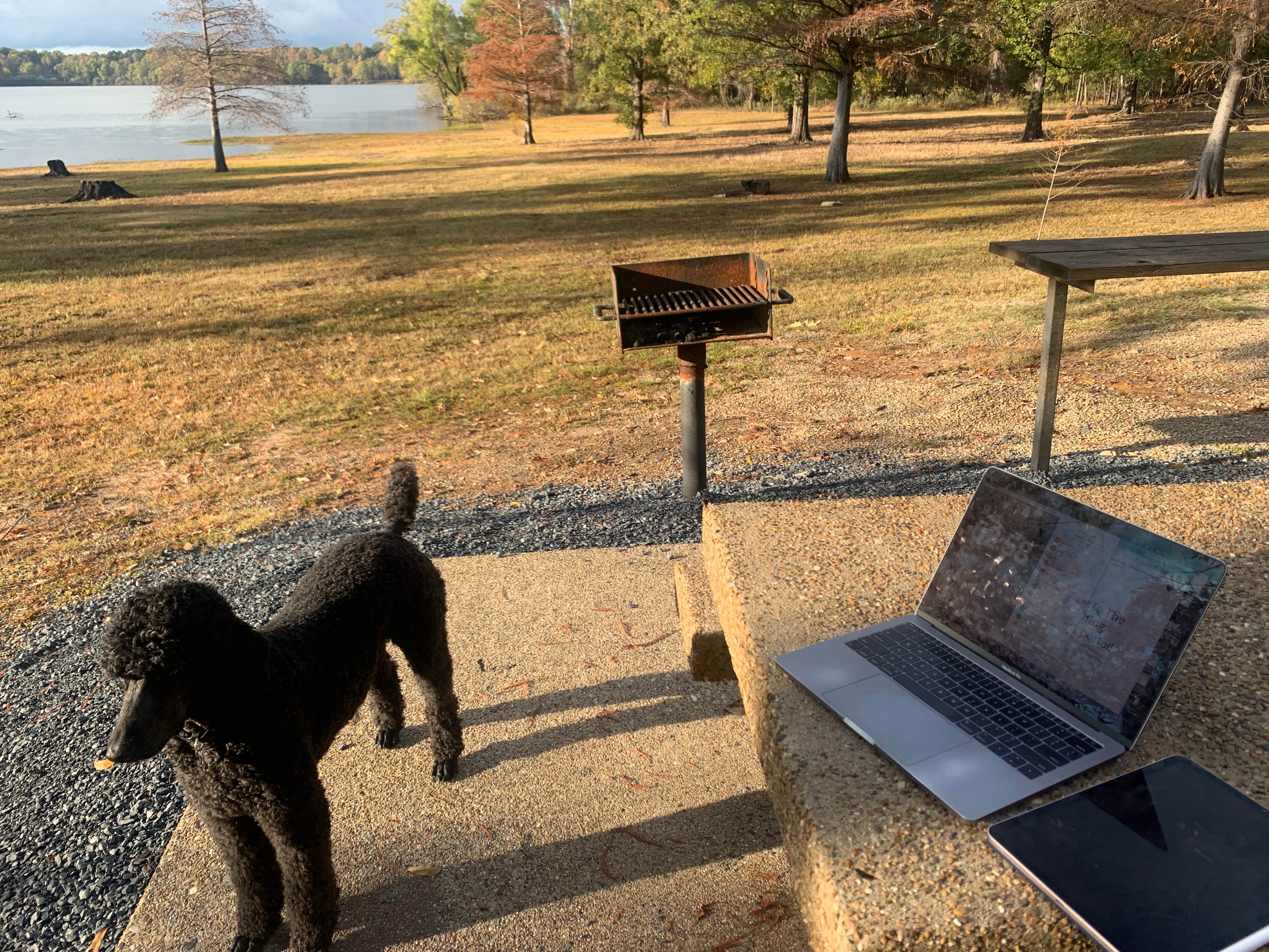 Alivia R.'s photo of camping with pets at Clear Spring near Texarkana, TX