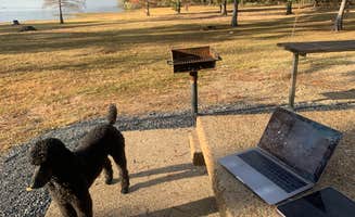 Alivia R.'s photo of camping with pets at Clear Spring near Millwood Lake