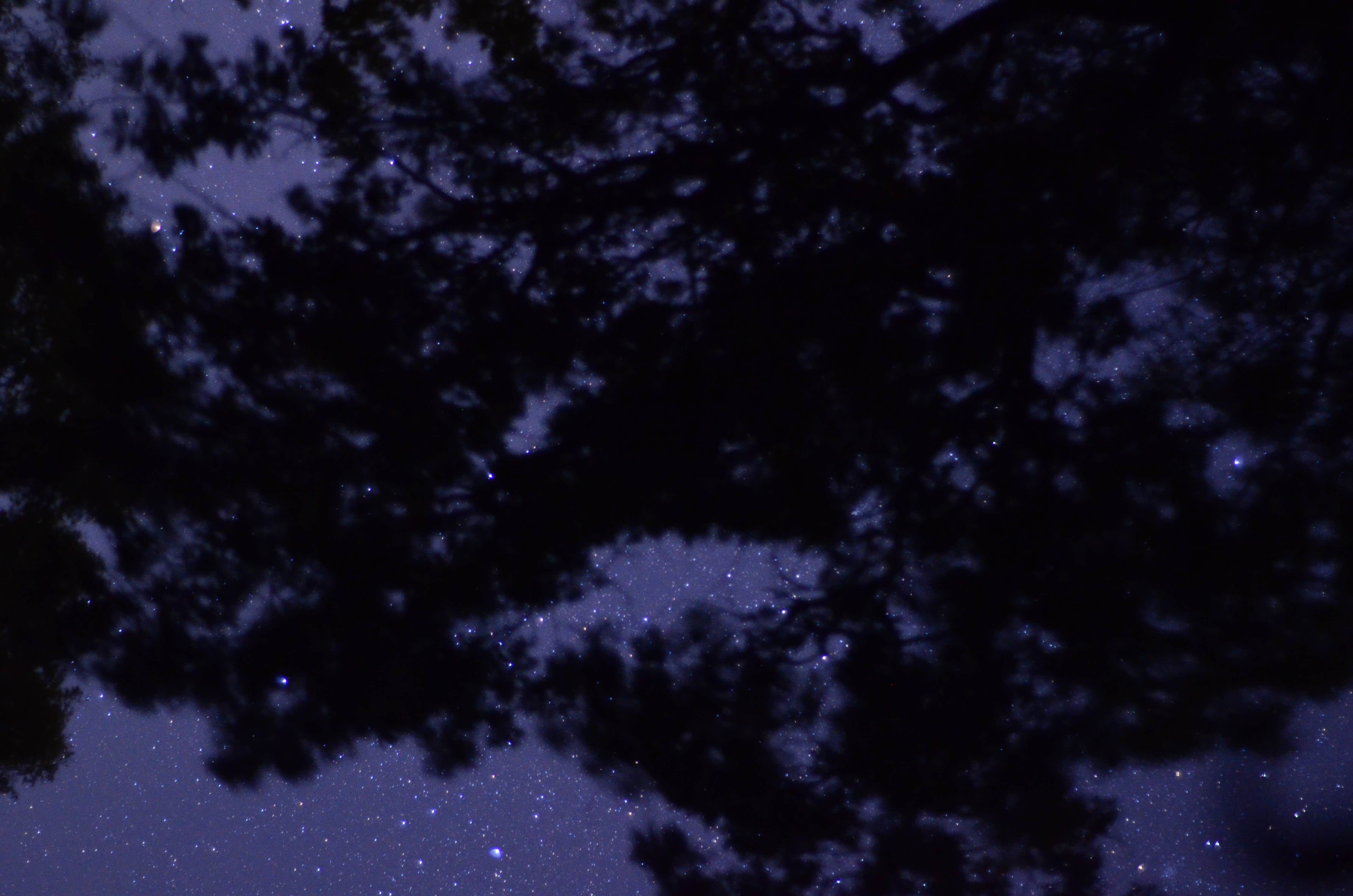 Camper-submitted photo at West Lake Crockett near Bonham, TX