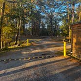 Review photo of COE Lake Ouachita Joplin Campground by Jonathan A., November 6, 2022