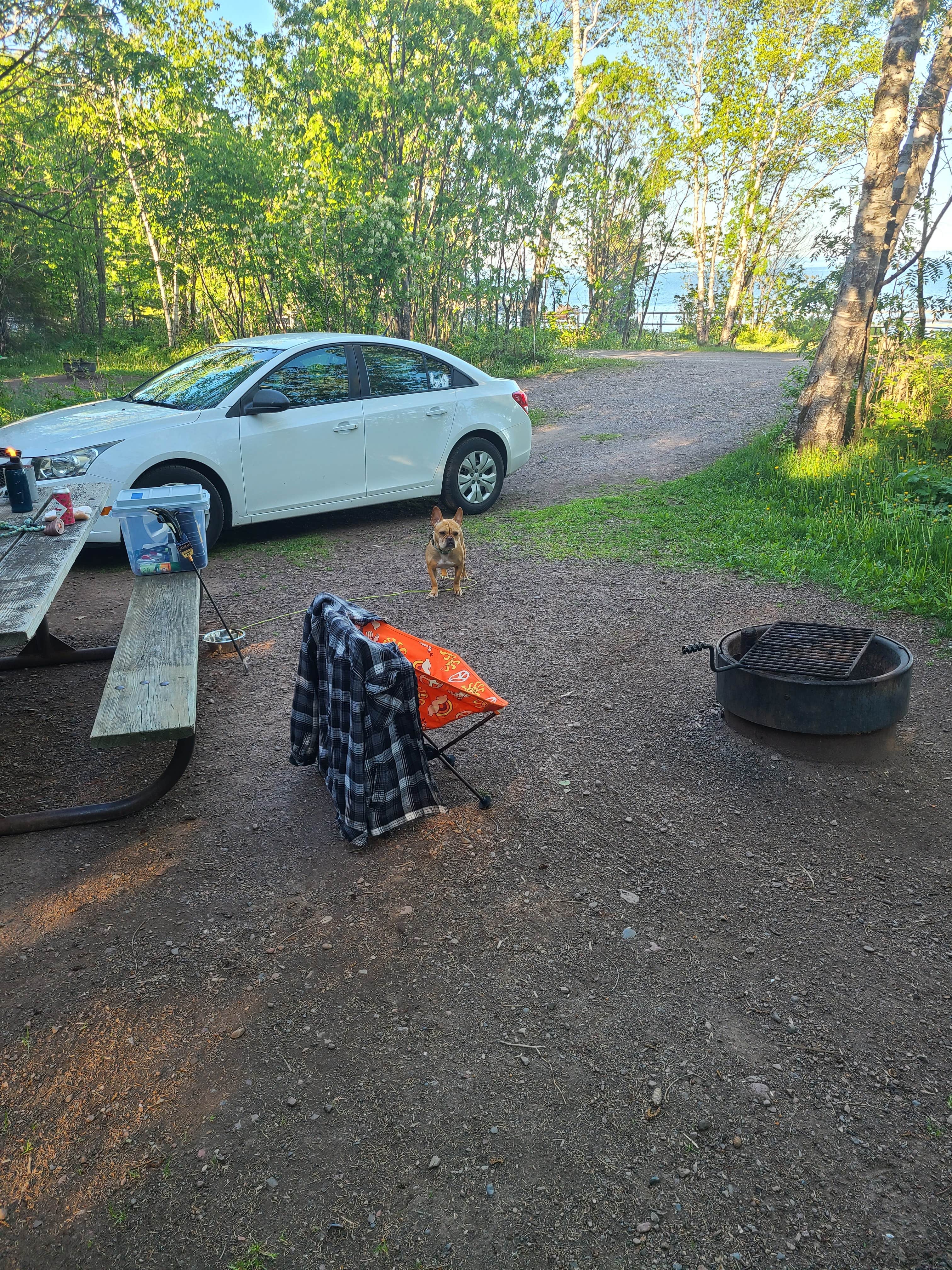 Tori K.'s photo of camping with pets at Temperance River State Park Campground near Tofte, MN