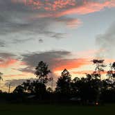 Review photo of Horseshoe Primitive Campground in Picayune Strand State Forest by Kelly , November 6, 2022