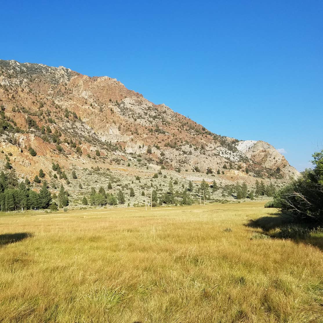 Aspen Campground Camping The Dyrt