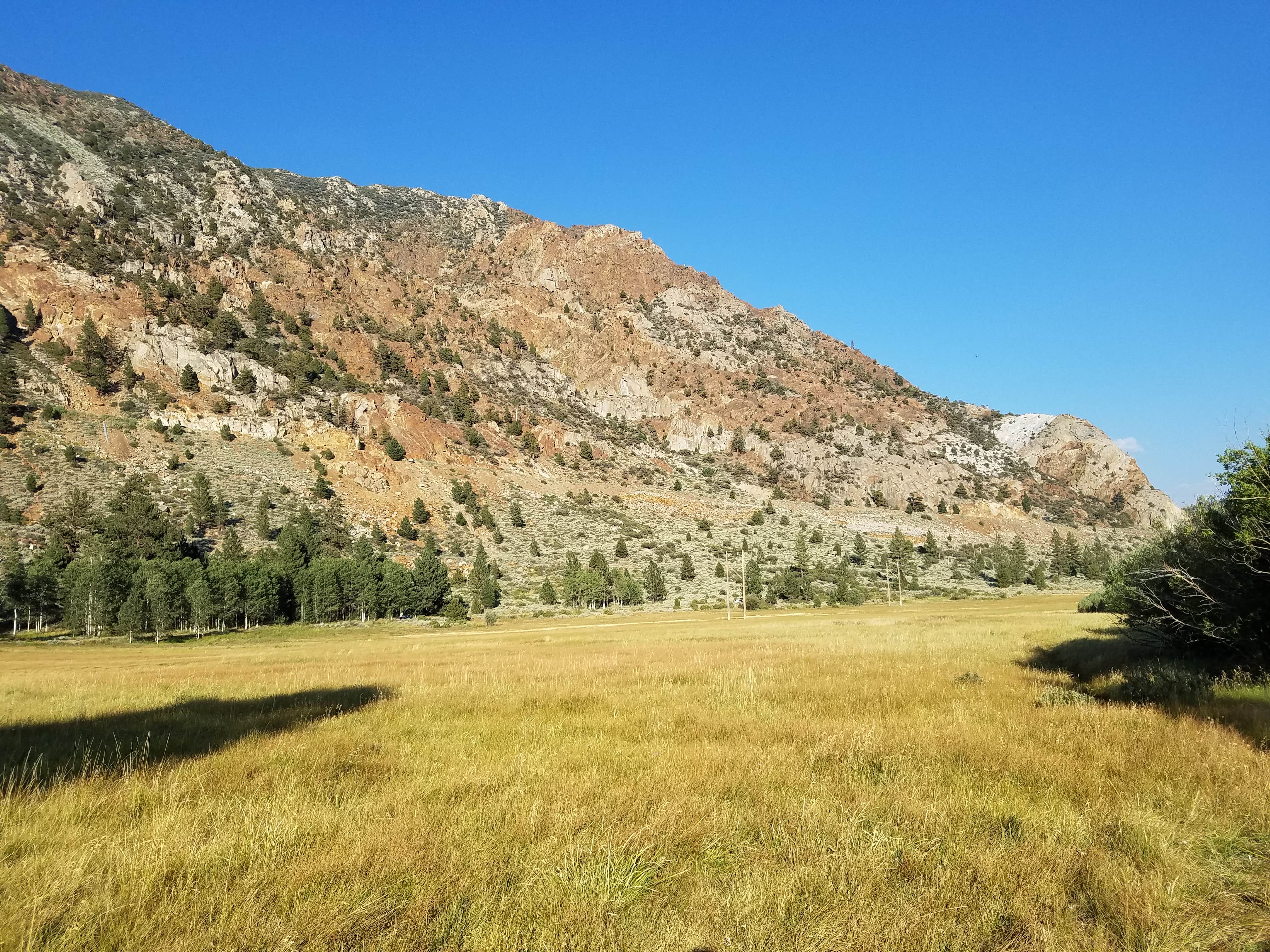 Camper submitted image from Aspen Campground - 2