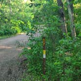 Review photo of Banning State Park Campground by Tori K., November 6, 2022