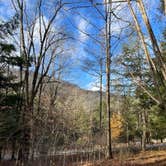 Review photo of Lyman Run State Park Campground by Liz C., November 6, 2022