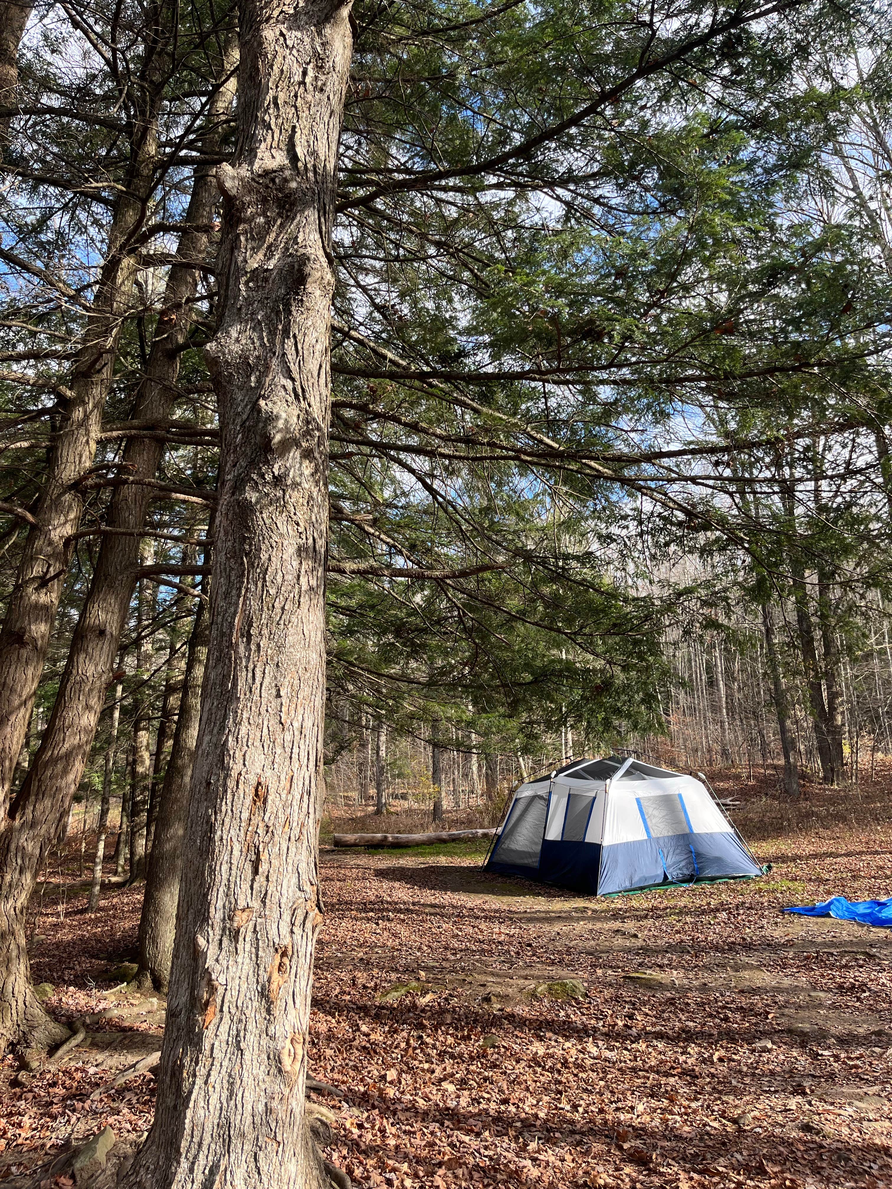 Liz C.'s photo at Lyman Run State Park Campground near Sabinsville, PA