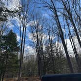 Review photo of Lyman Run State Park Campground by Liz C., November 6, 2022