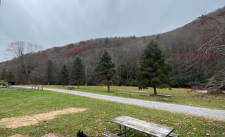 Casey L.'s photo of camping with pets at East Fork Campground and Horse Stables near Monongahela National Forest