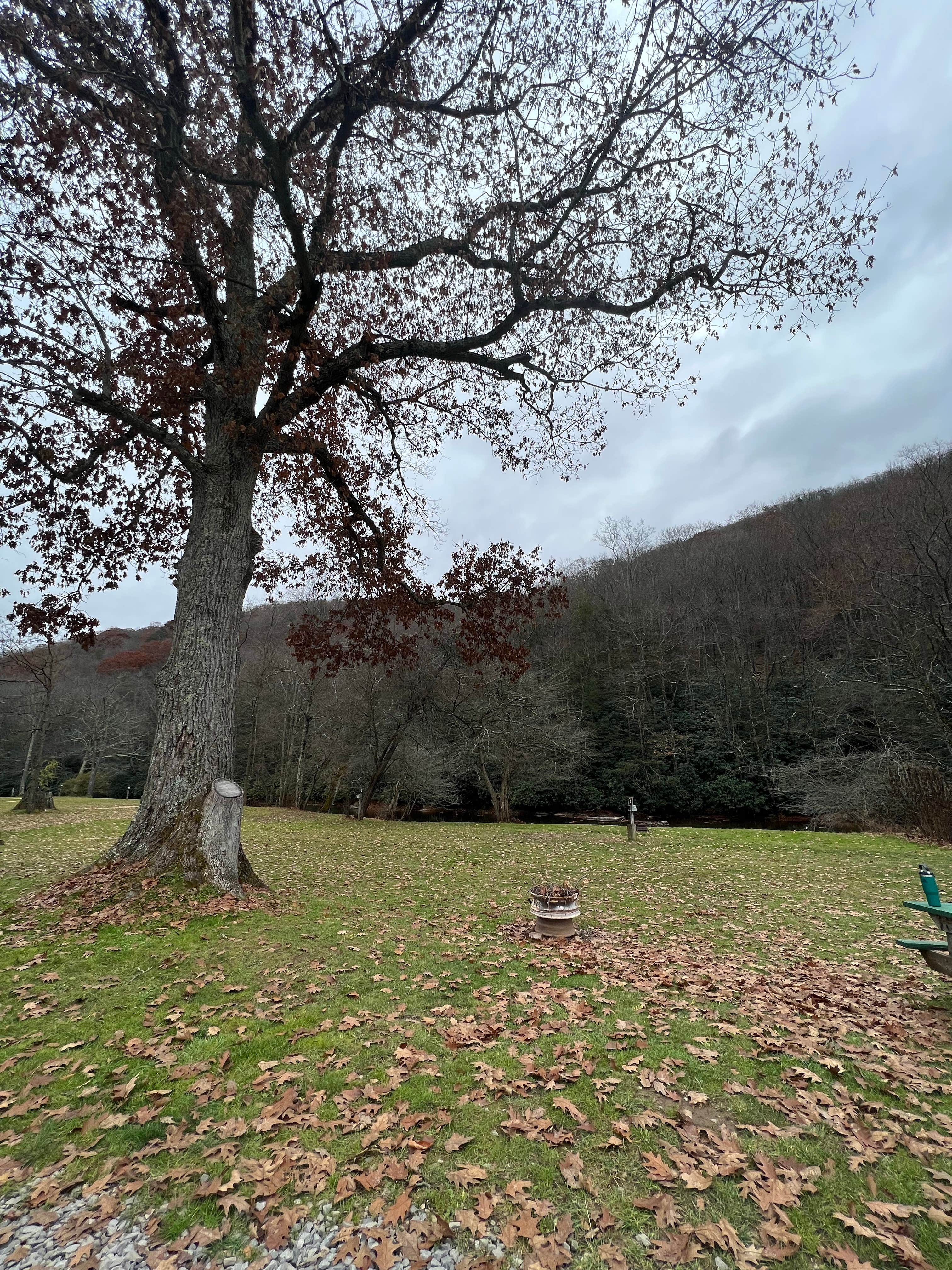 Camper-submitted photo at East Fork Campground and Horse Stables near Snowshoe, WV
