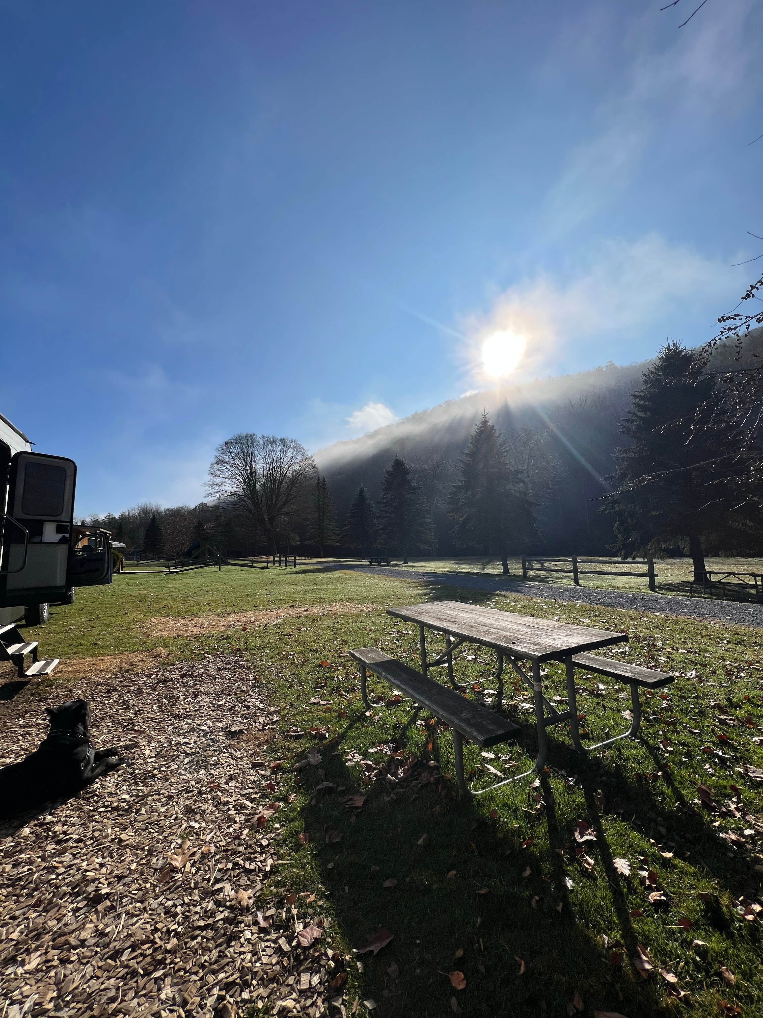 Casey L.'s photo of camping with pets at East Fork Campground and Horse Stables near Cass, WV