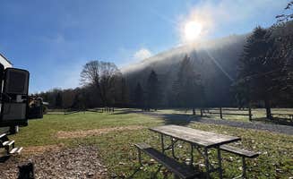 Casey L.'s photo of camping with pets at East Fork Campground and Horse Stables near Circleville, WV