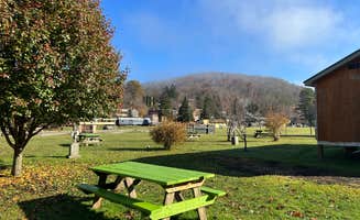 Casey L.'s photo of camping with pets at East Fork Campground and Horse Stables near Durbin, WV