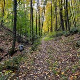 Review photo of Little Buffalo State Park Campground by Casey L., November 7, 2022