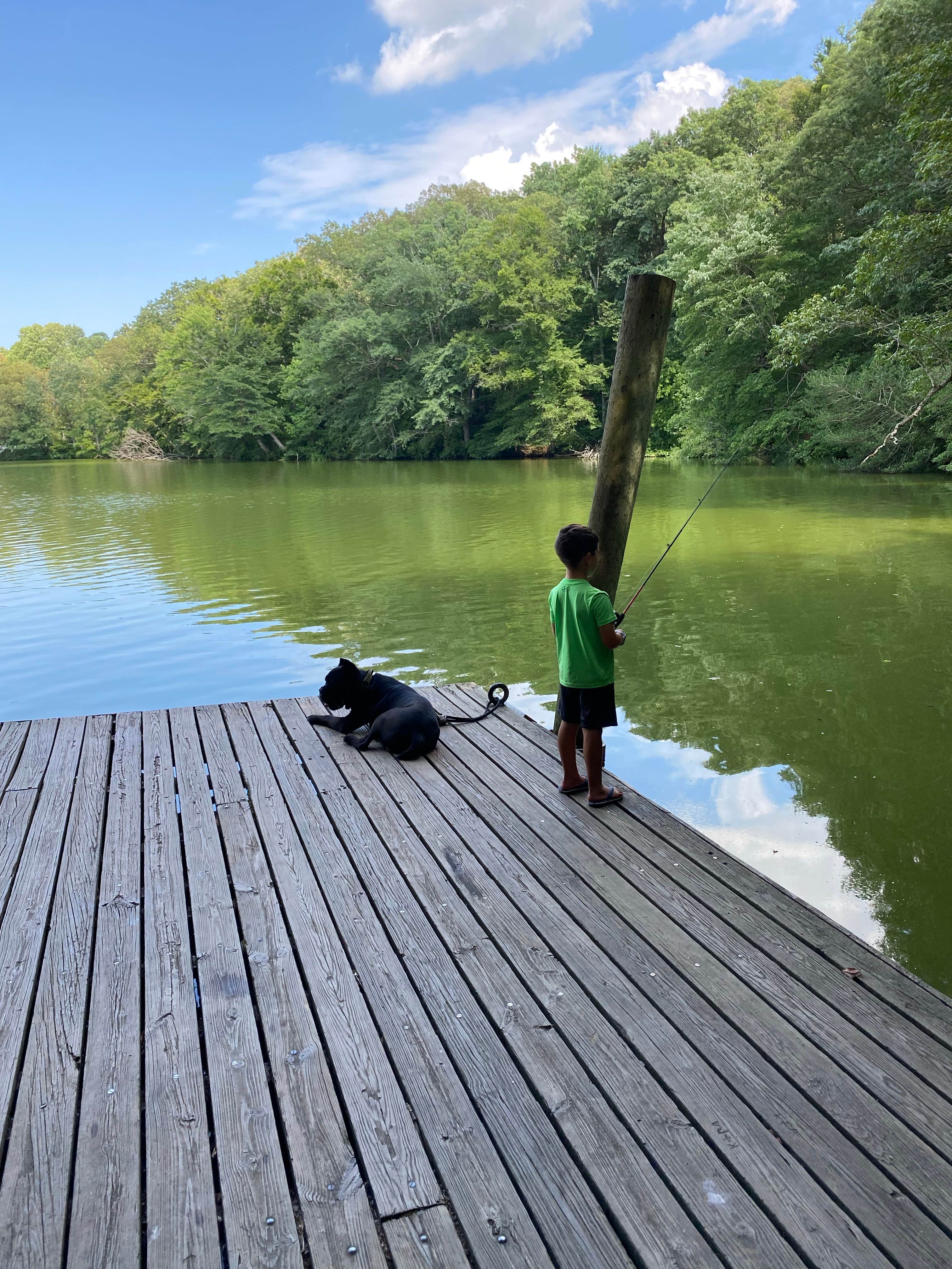 Casey L.'s photo of camping with pets at Killens Pond State Park Campground near Lewes, DE