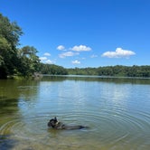 Review photo of Killens Pond State Park Campground by Casey L., November 7, 2022