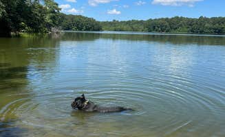 Casey L.'s photo of camping with pets at Killens Pond State Park Campground near Seaford, DE