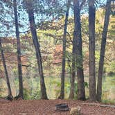 Review photo of Acorn Campground — Beavers Bend State Park by Cat R., November 7, 2022