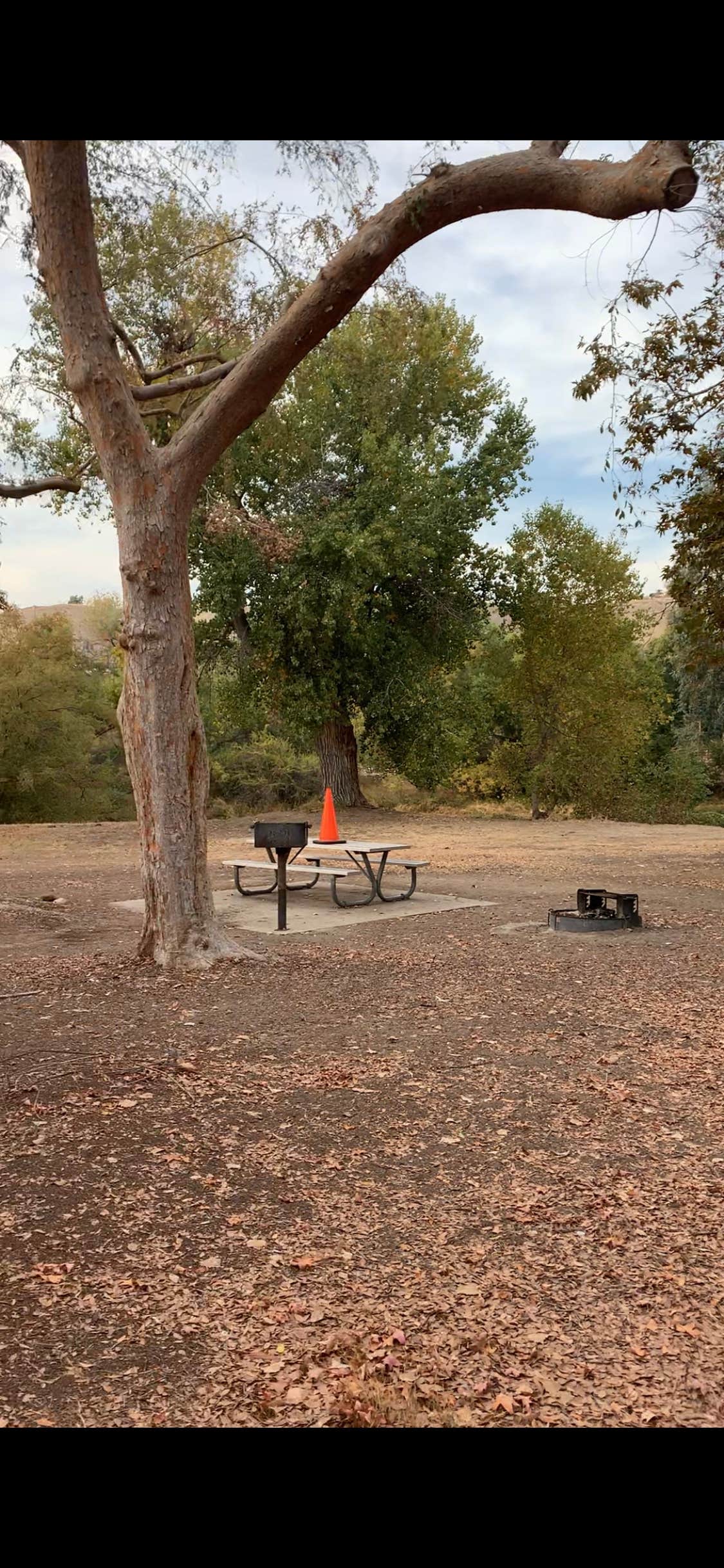 Camper submitted image from Kern River Campground - 1