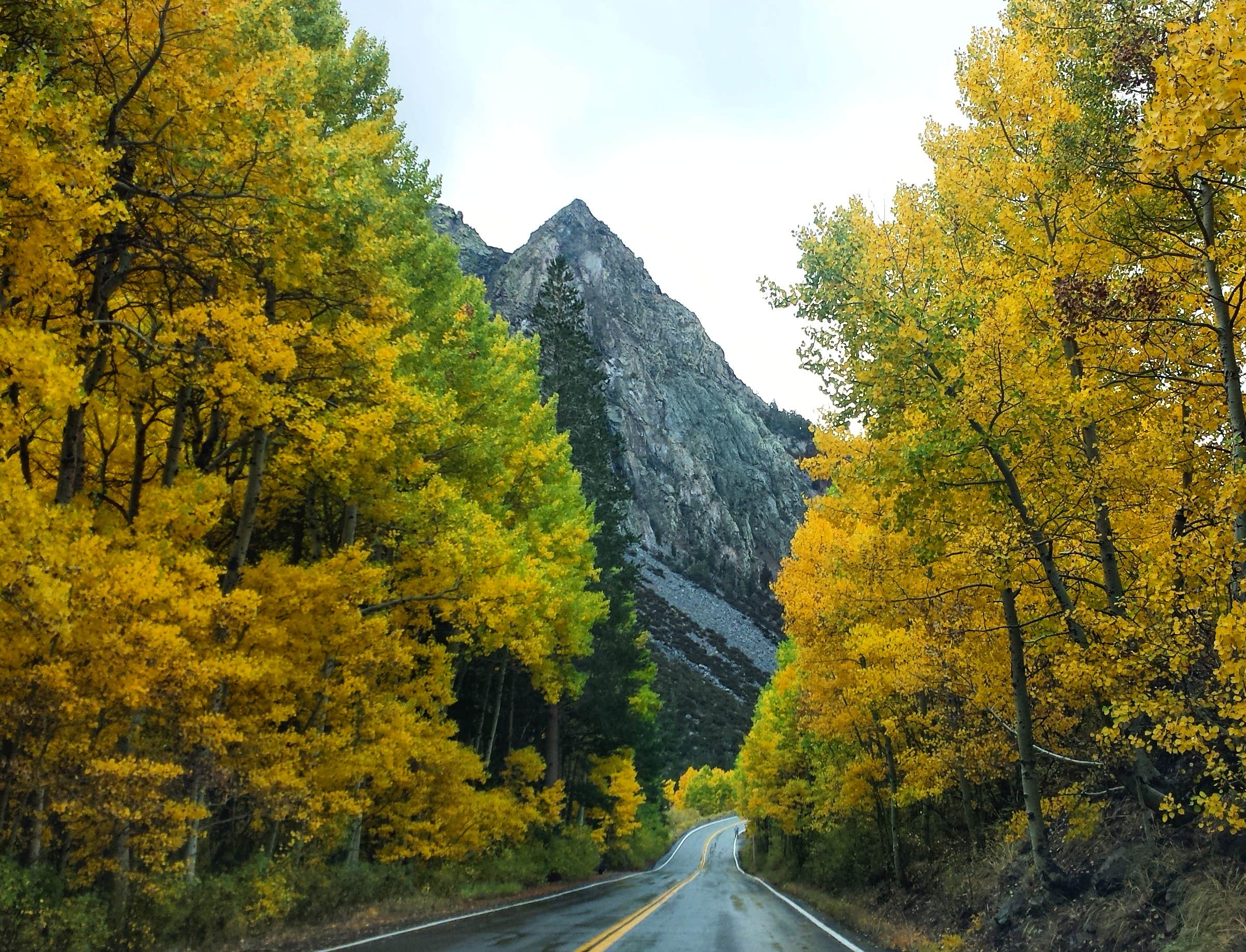 Camper submitted image from Aspen Campground - 2