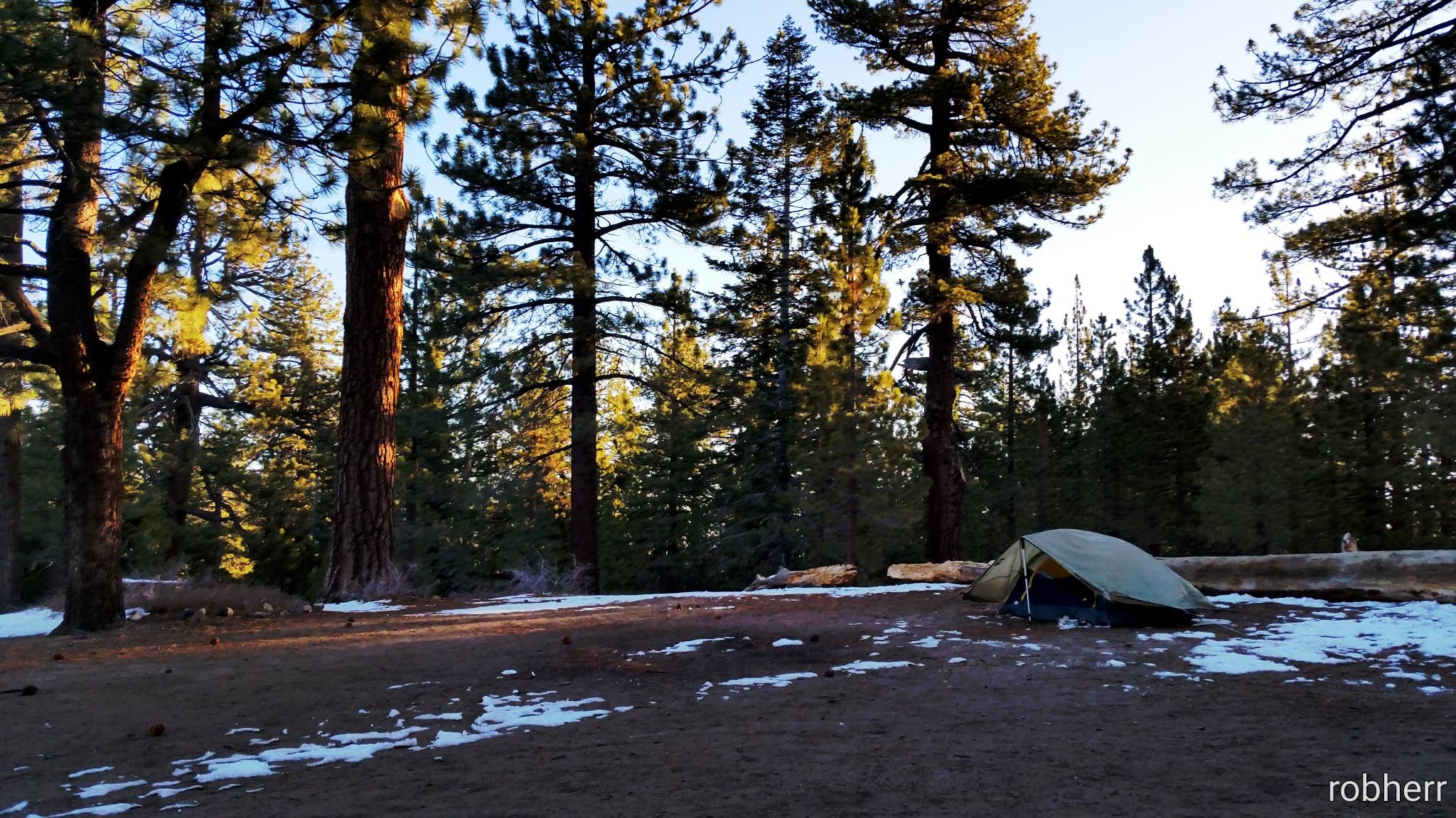 robherr's photo of tent camping at Chula Vista Campground at Mt. Pinos near Bakersfield, CA