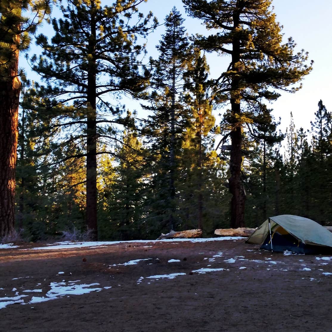 Chula Vista Campground at Mt. Pinos Camping | Frazier Park, CA | The Dyrt