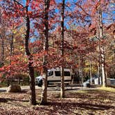 Review photo of Cades Cove Group Campground — Great Smoky Mountains National Park by Katie T., November 7, 2022