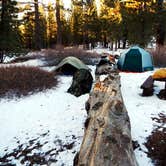 Review photo of Chula Vista Campground at Mt. Pinos by robherr , September 14, 2018