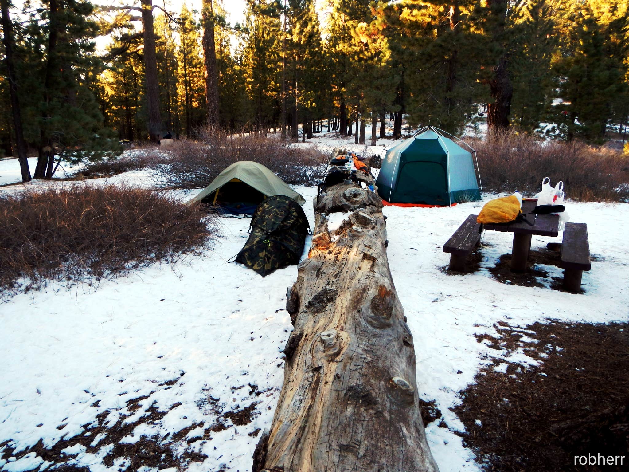 Camper submitted image from Chula Vista Campground at Mt. Pinos - 5