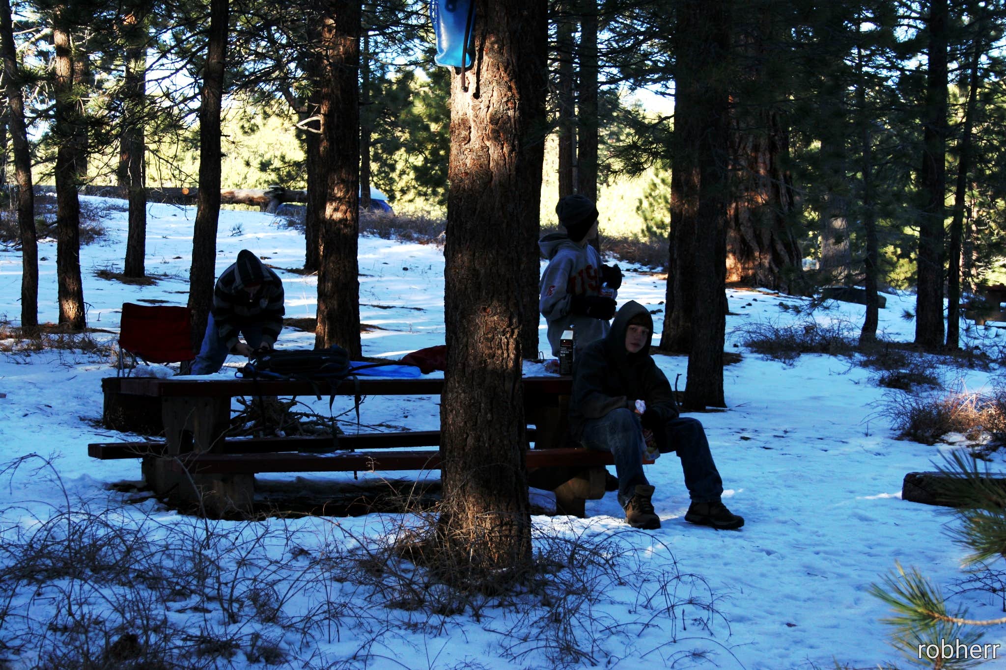 Camper submitted image from Chula Vista Campground at Mt. Pinos - 5