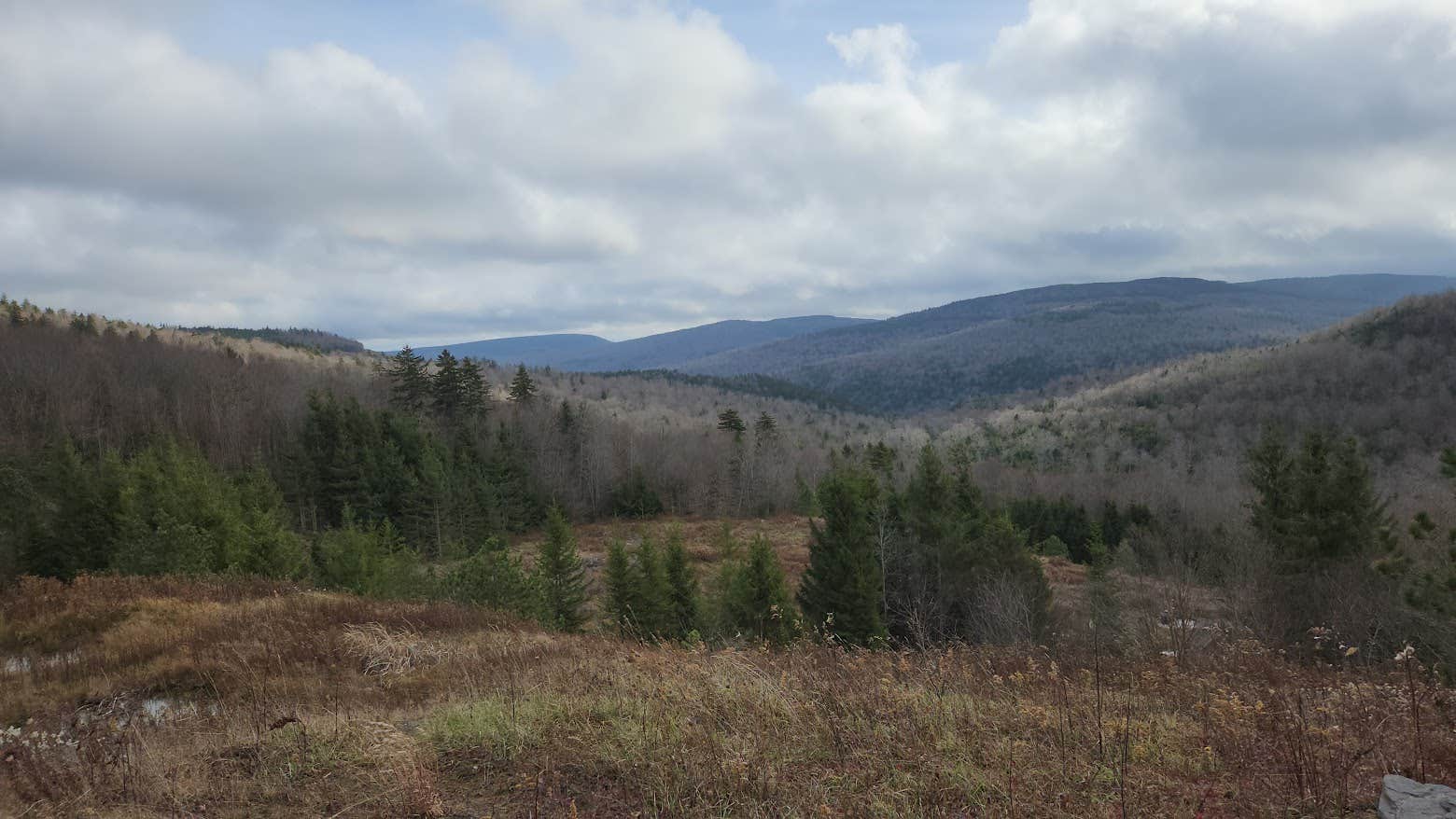 Camping near Kumbrabow State Forest Mill Creek Campground: Dispersed Camping off Forest Road 227, Huttonsville, West Virginia