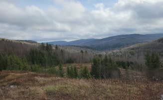Jon N.'s photo of a dispersed camping area at Dispersed Camping off Forest Road 227 near Marlinton, WV