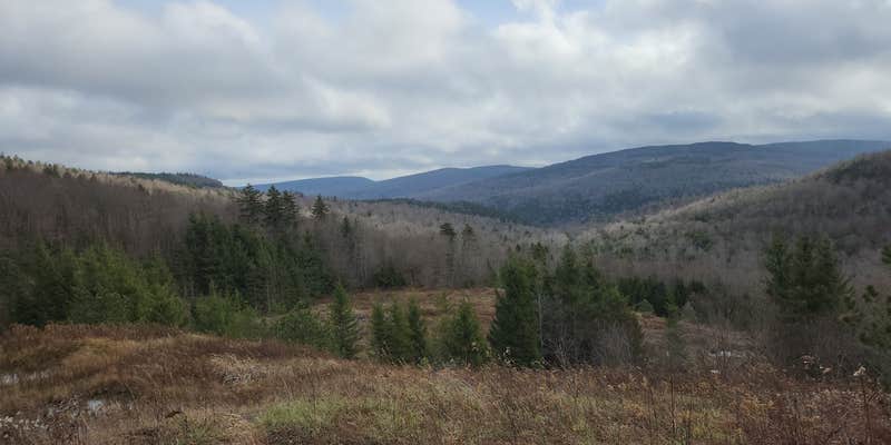 Camper submitted image from Dispersed Camping off Forest Road 227