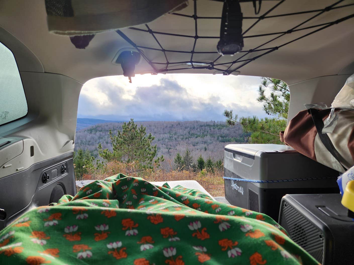 Camper submitted image from Dispersed camping at Mower Basin - 4