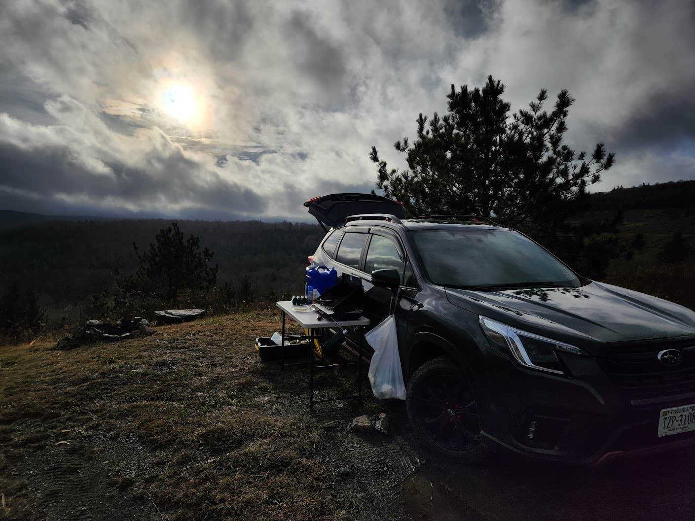 Camper submitted image from Dispersed camping at Mower Basin - 3