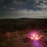 Review photo of Dispersed camping at Mower Basin by Jon N., November 7, 2022