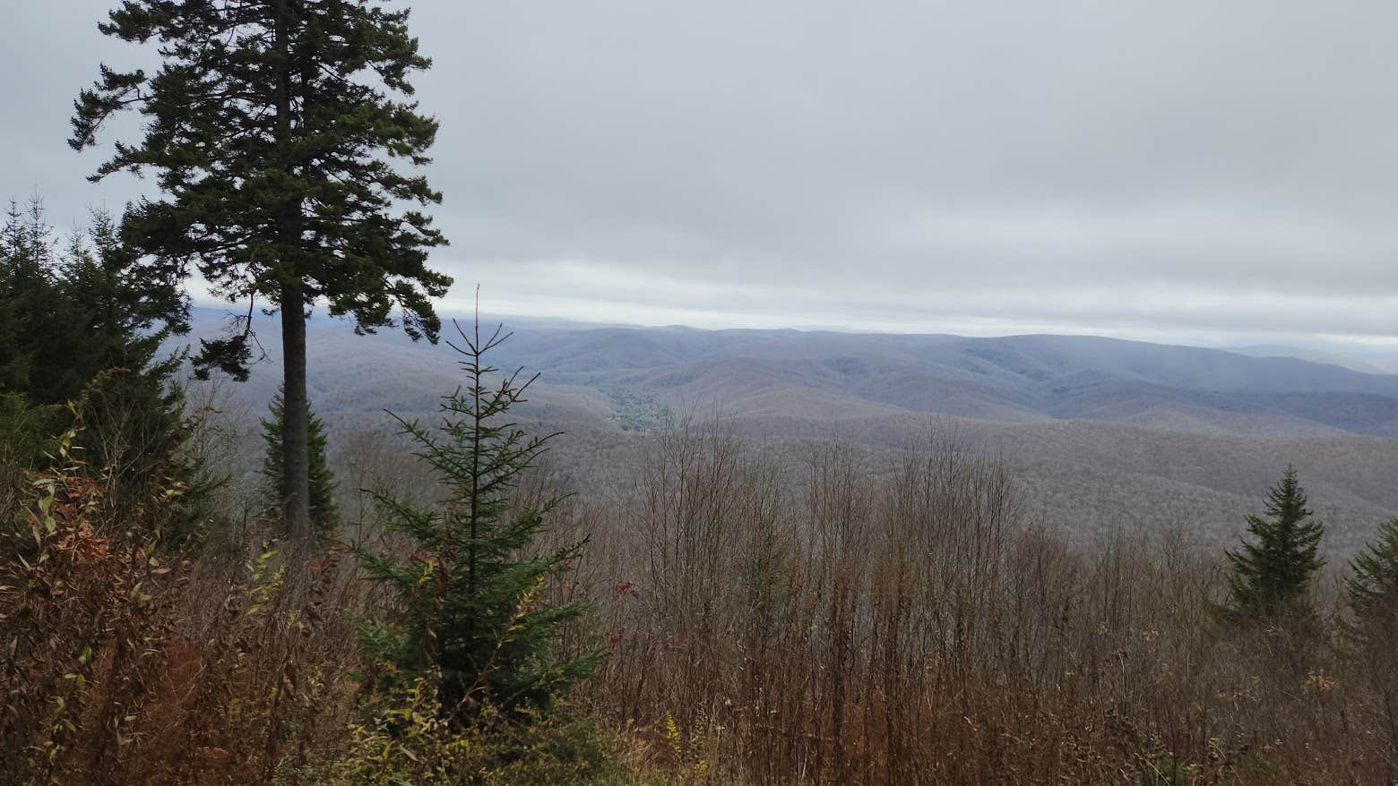Camper-submitted photo at Gaudineer Knob camp sites near Craigsville, WV