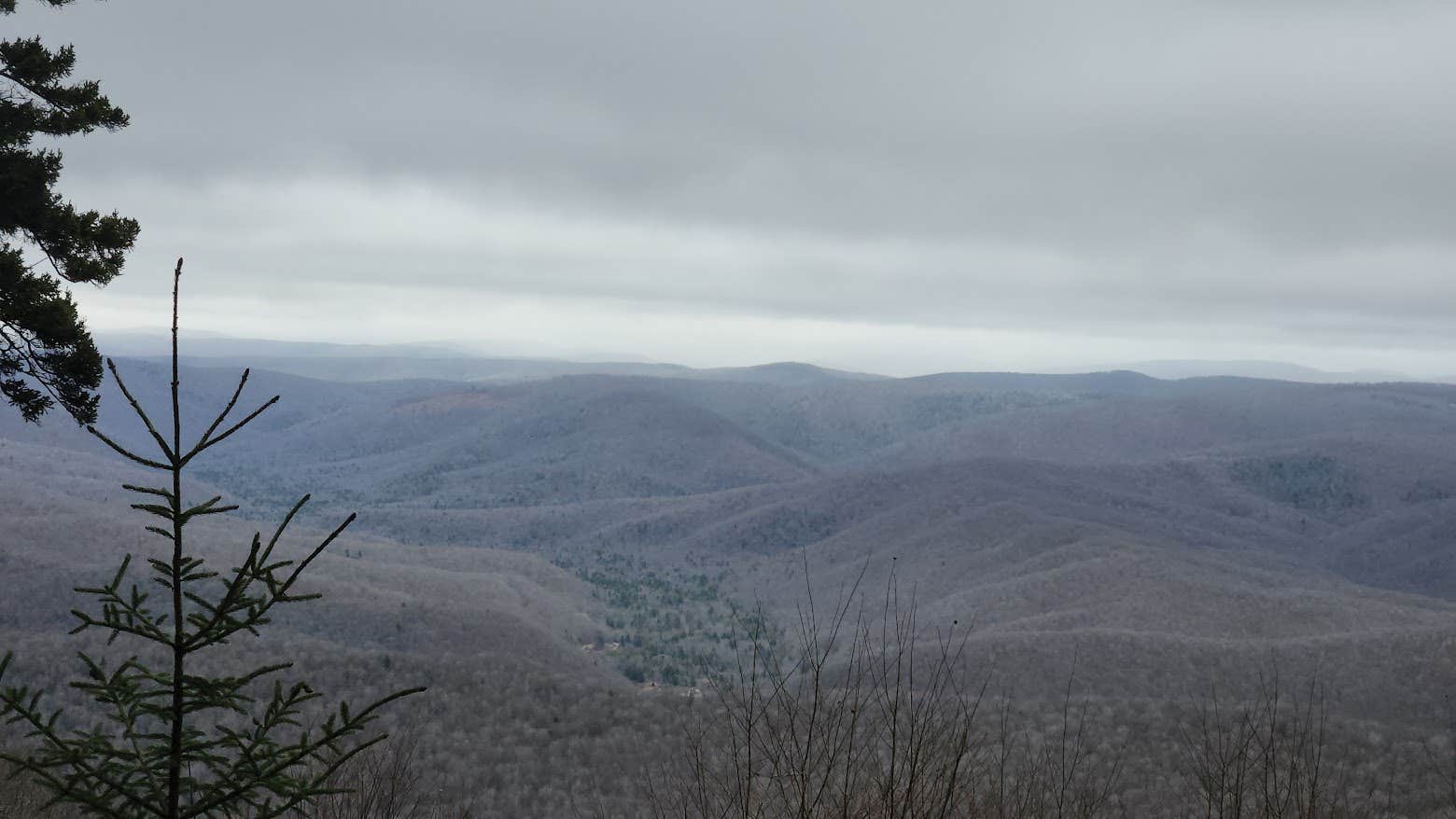 Jon N.'s photo of a dispersed camping area at Gaudineer Knob camp sites near Craigsville, WV