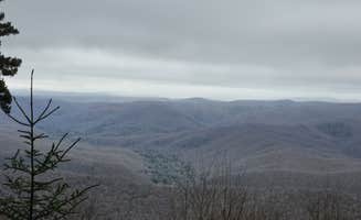 Jon N.'s photo of a dispersed camping area at Gaudineer Knob camp sites near Marlinton, WV