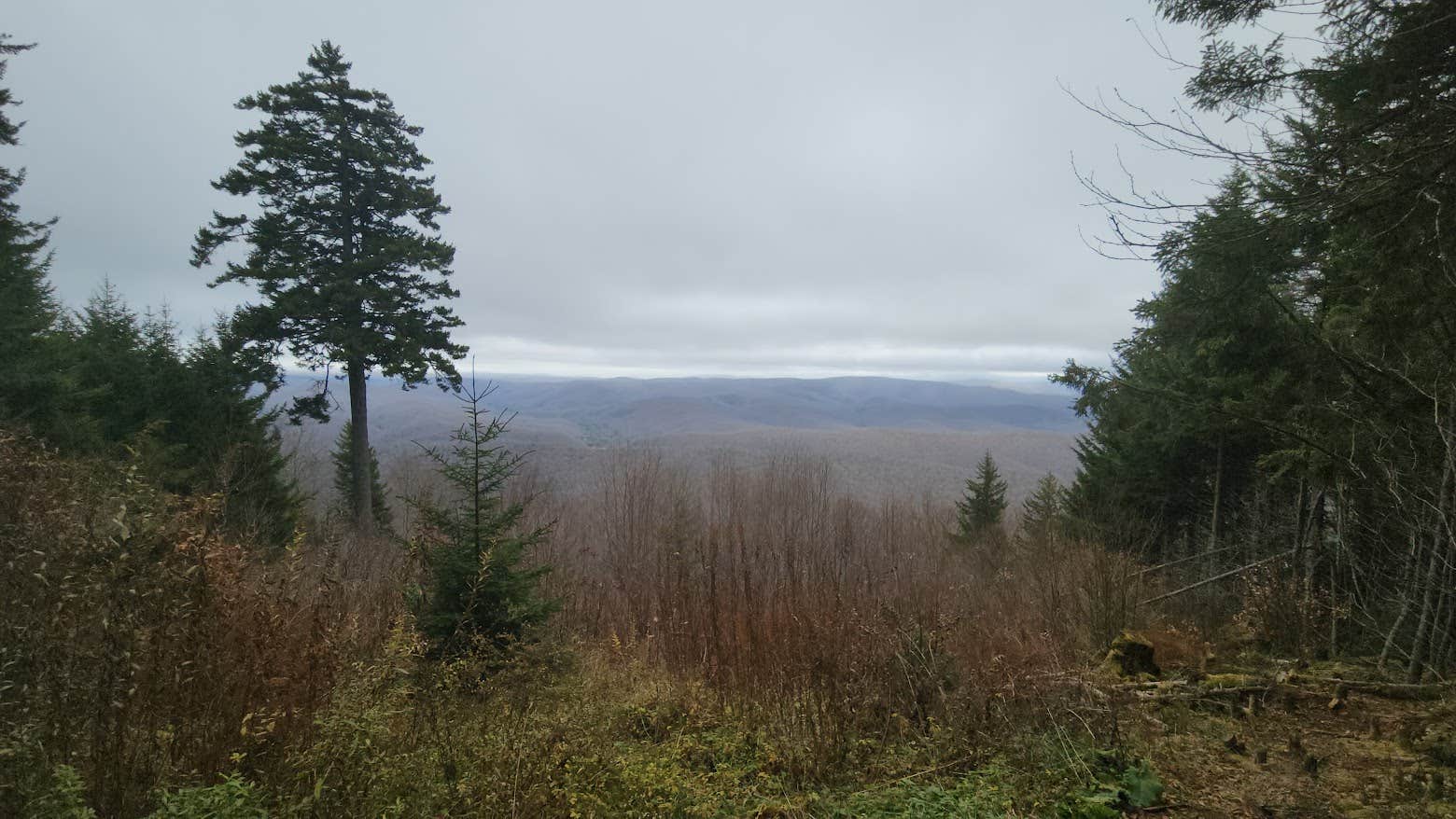 Camping near Kumbrabow State Forest Mill Creek Campground: Gaudineer Knob camp sites, Durbin, West Virginia