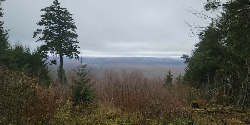 Camper submitted image from Gaudineer Knob camp sites