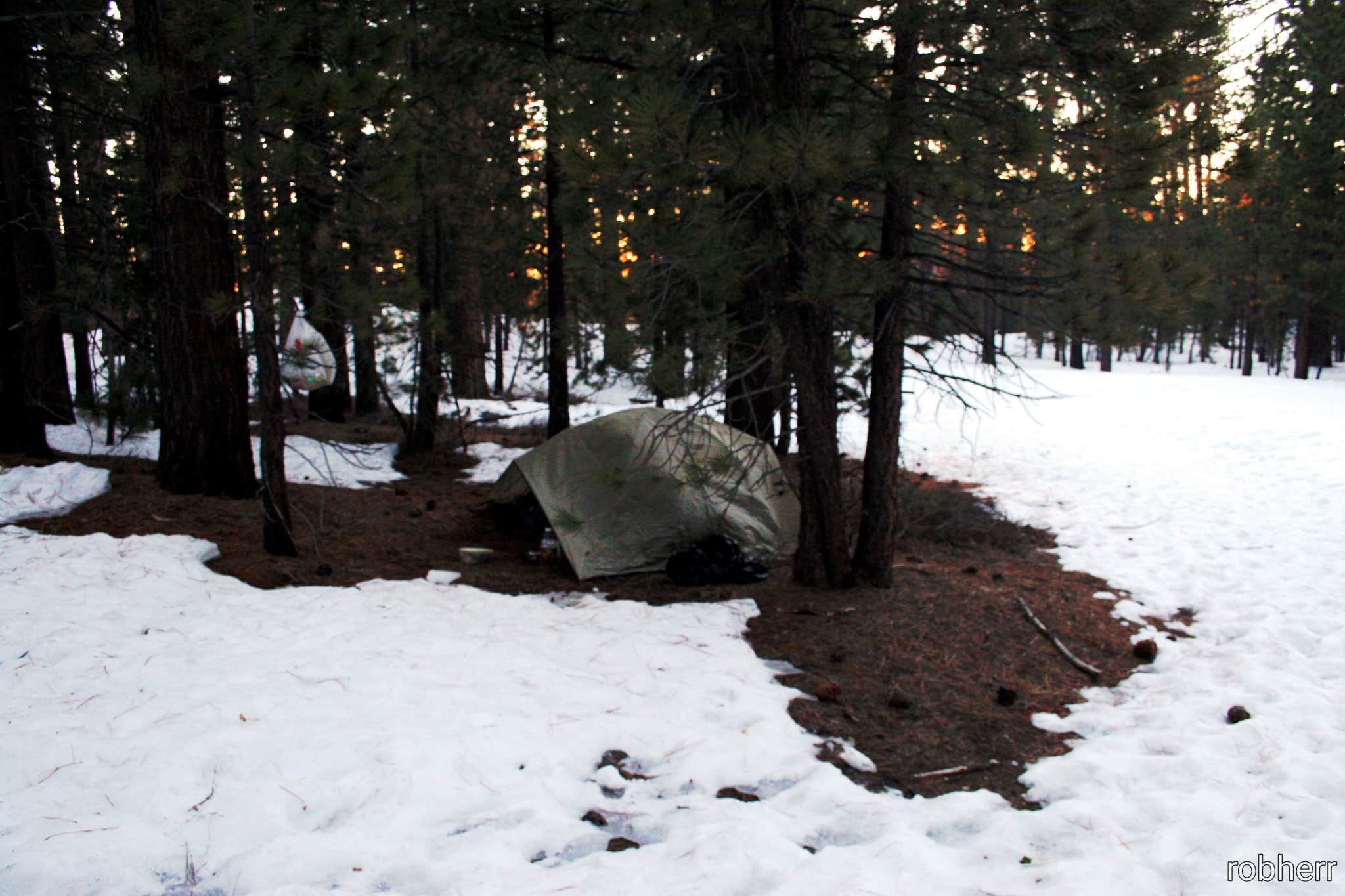 robherr's photo of tent camping at Chula Vista Campground at Mt. Pinos near Moorpark, CA