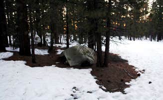 robherr's photo of tent camping at Chula Vista Campground at Mt. Pinos near Bakersfield, CA