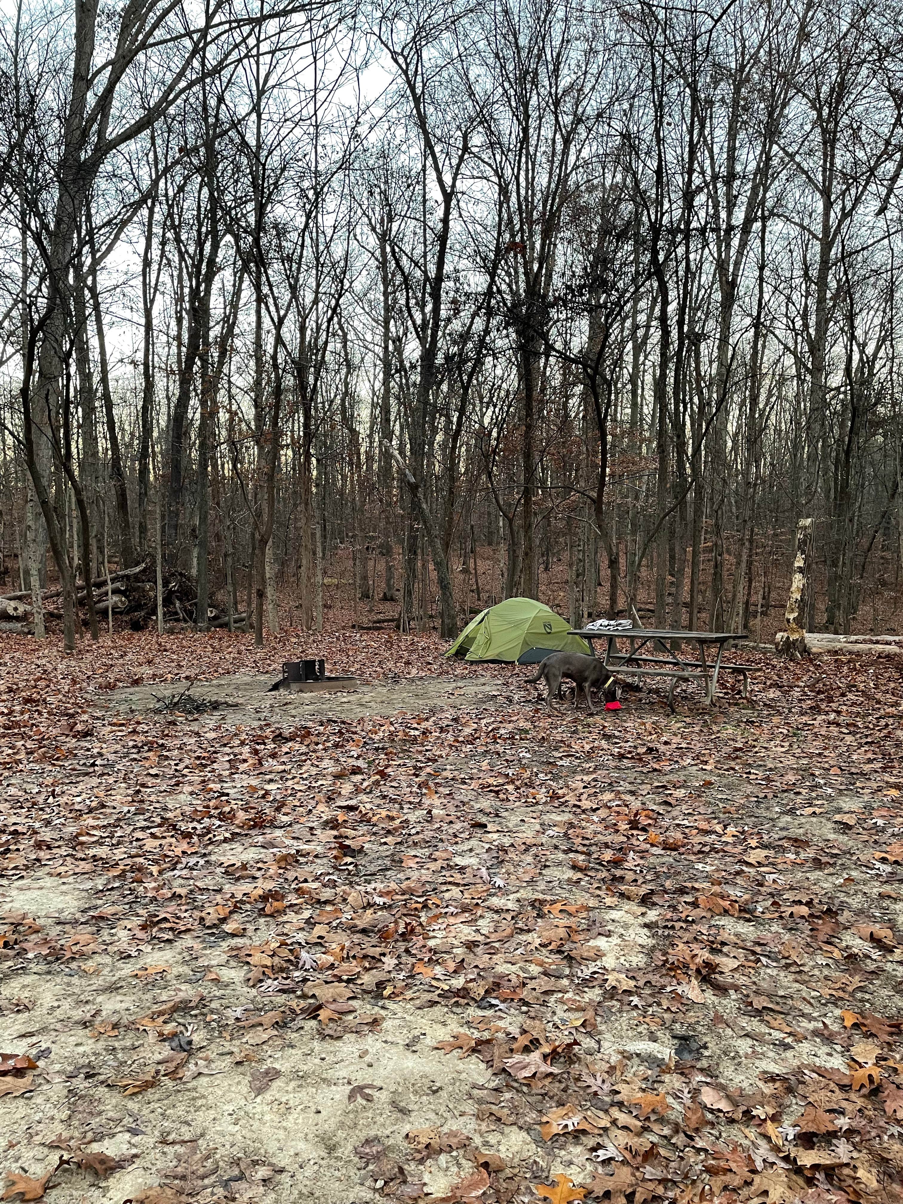 Emily M.'s photo of camping with pets at Carter Caves State Resort Park Campground near Louisa, KY