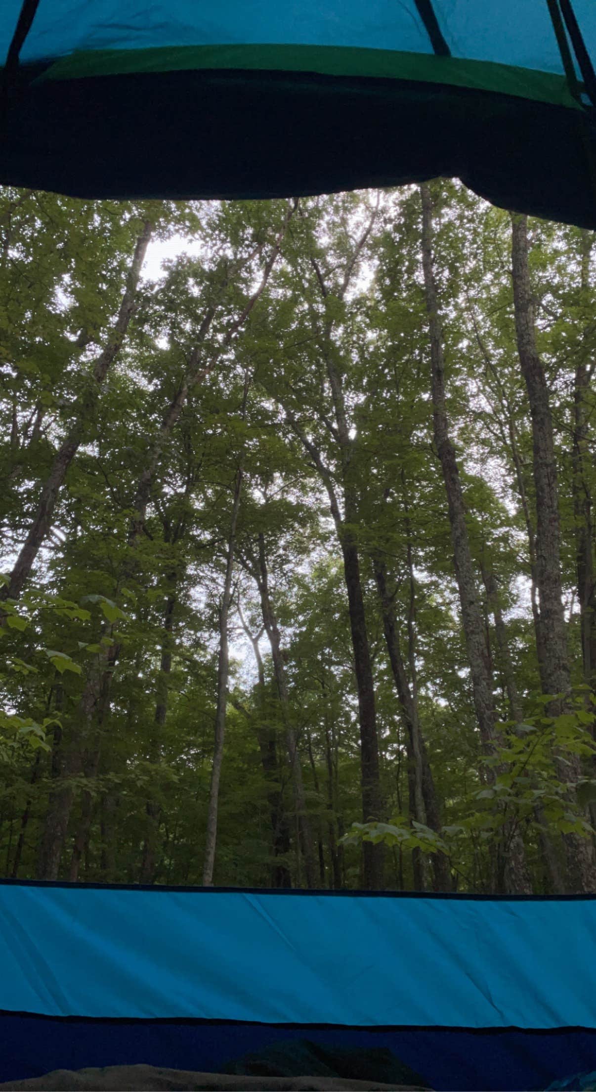 Emily M.'s photo of tent camping at Samuel F. Pryor III Shawangunk Gateway Campground near Cornwall-on-Hudson, NY