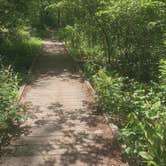 Review photo of Blackbird State Forest Campground by Emily M., November 7, 2022